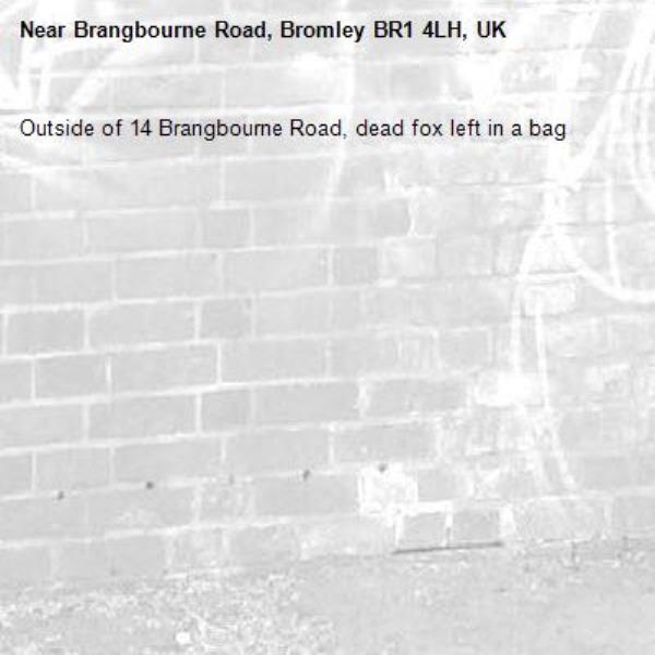 Outside of 14 Brangbourne Road, dead fox left in a bag-Brangbourne Road, Bromley BR1 4LH, UK