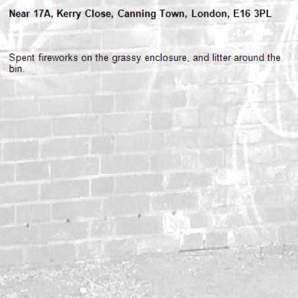 Spent fireworks on the grassy enclosure, and litter around the bin.-17A, Kerry Close, Canning Town, London, E16 3PL