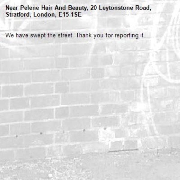 We have swept the street. Thank you for reporting it.-Pelene Hair And Beauty, 20 Leytonstone Road, Stratford, London, E15 1SE
