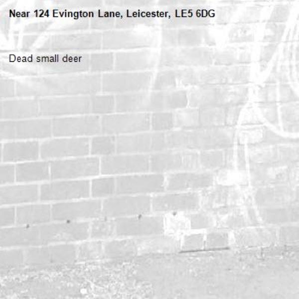 Dead small deer -124 Evington Lane, Leicester, LE5 6DG