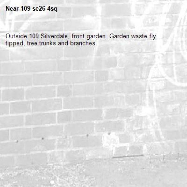 Outside 109 Silverdale, front garden. Garden waste fly tipped, tree trunks and branches.-109 se26 4sq