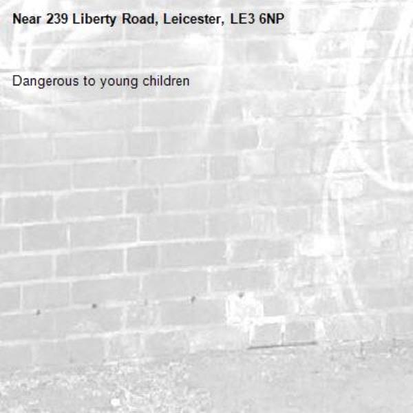 Dangerous to young children -239 Liberty Road, Leicester, LE3 6NP