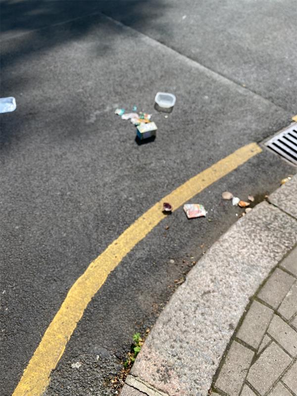 Litter from
Bins scattered in 3 locations long Wakehurst rat road to common in bin day. Clearly no  detritus not cleared up by collectors . Again -Clapham Common