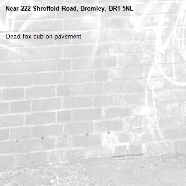 Dead fox cub on pavement-222 Shroffold Road, Bromley, BR1 5NL