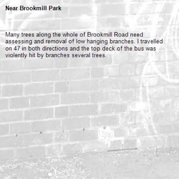 Many trees along the whole of Brookmill Road need assessing and removal of low hanging branches. I travelled on 47 in both directions and the top deck of the bus was violently hit by branches several trees.-Brookmill Park