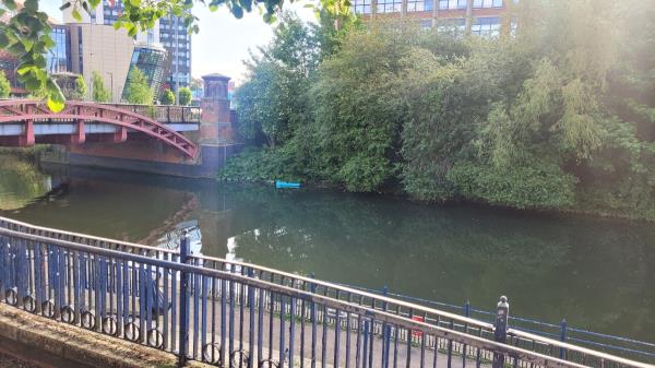 Inflatable stuck on trees in the CANAL -Eastern Boulevard, Leicester