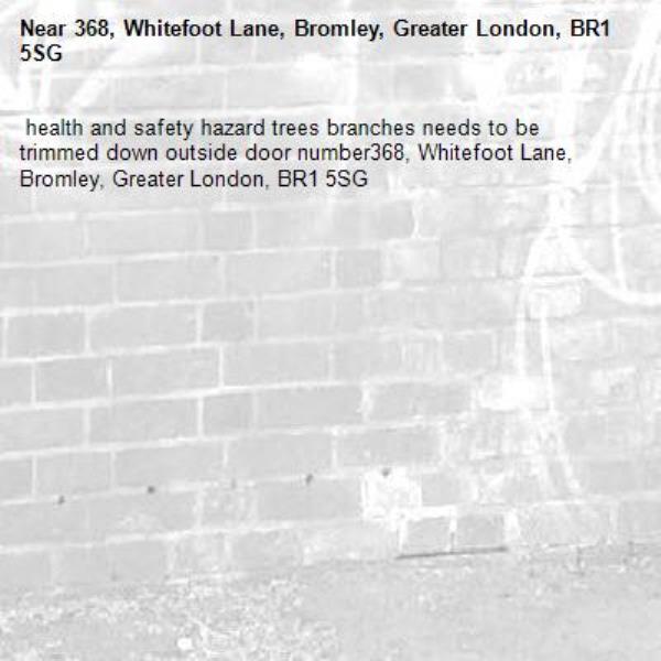  health and safety hazard trees branches needs to be trimmed down outside door number368, Whitefoot Lane, Bromley, Greater London, BR1 5SG -368, Whitefoot Lane, Bromley, Greater London, BR1 5SG