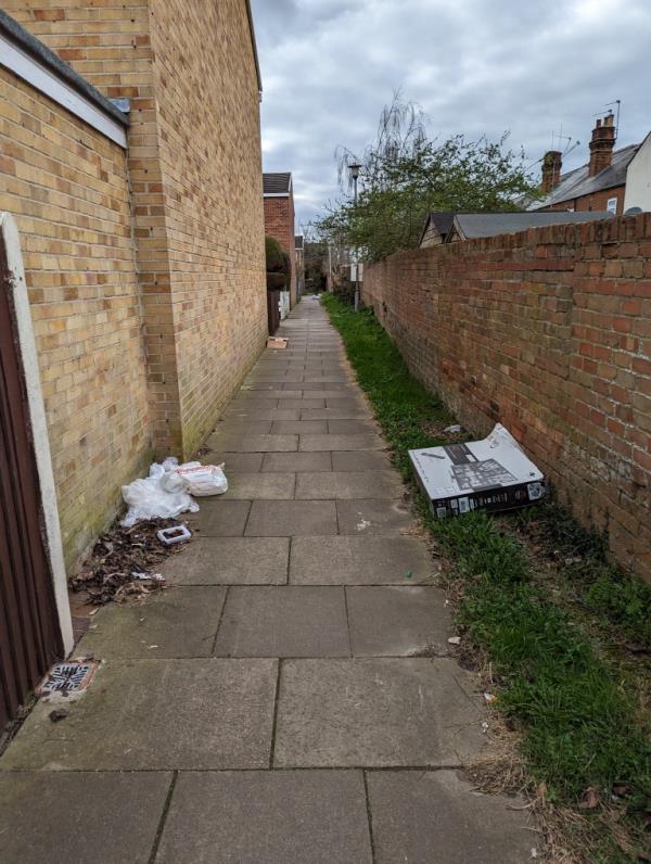 As usual, on 'fly-tip alley' between Mount Street and Charndon Close. Various rubbish strewn all along it. The carrier bags seem to be the ones that lay outside the back gate of 4 Elizabeth Walk on Mount Street for weeks. -33 Waldeck Street, Reading, RG1 2RF