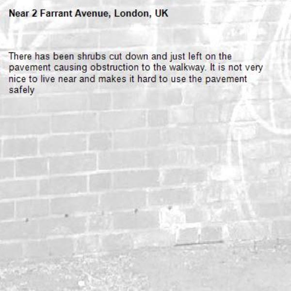 There has been shrubs cut down and just left on the pavement causing obstruction to the walkway. It is not very nice to live near and makes it hard to use the pavement safely -2 Farrant Avenue, London, UK