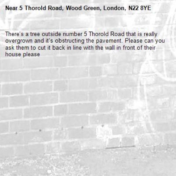 There’s a tree outside number 5 Thorold Road that is really overgrown and it’s obstructing the pavement. Please can you ask them to cut it back in line with the wall in front of their house please-5 Thorold Road, Wood Green, London, N22 8YE