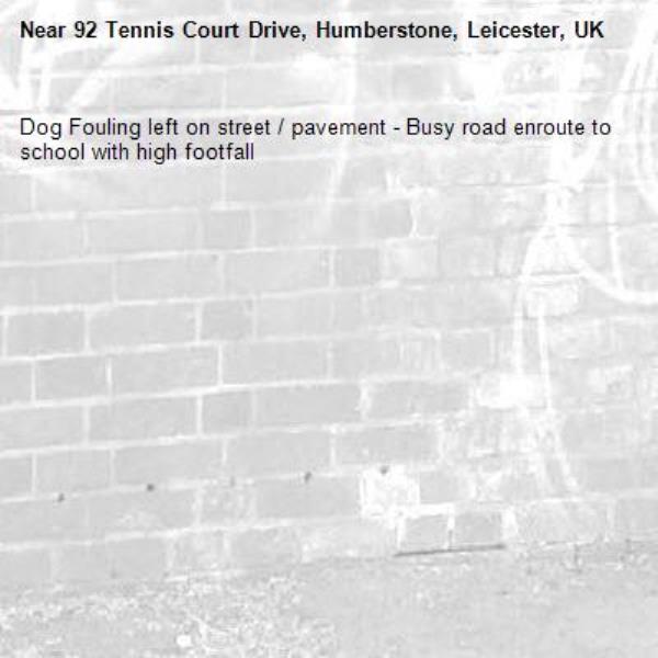 Dog Fouling left on street / pavement - Busy road enroute to school with high footfall -92 Tennis Court Drive, Humberstone, Leicester, UK