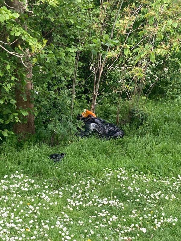 Fly tip next to Will Thorne car park. Much litter in the area by caravans -52 Allhallows Road, Beckton, London, E6 5SZ