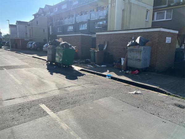 Why are you not doing something about this. It’s absurd that this street is like the dump. Trash all over the road. Bins constantly overflowing. Do your job. Fine people. Keep bins stored. Get Shute bins off the road.-45 Shirley Road, Stratford, London, E15 4HL