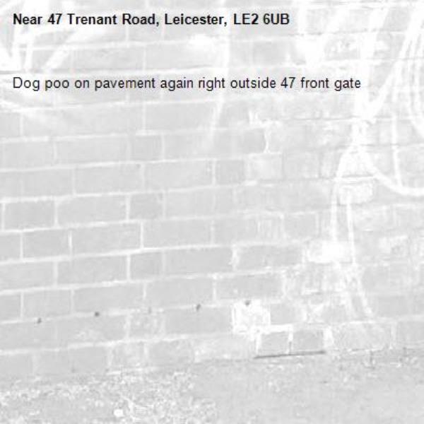 Dog poo on pavement again right outside 47 front gate-47 Trenant Road, Leicester, LE2 6UB