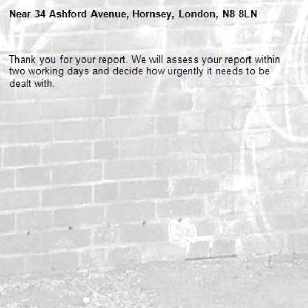 Thank you for your report. We will assess your report within two working days and decide how urgently it needs to be dealt with.-34 Ashford Avenue, Hornsey, London, N8 8LN