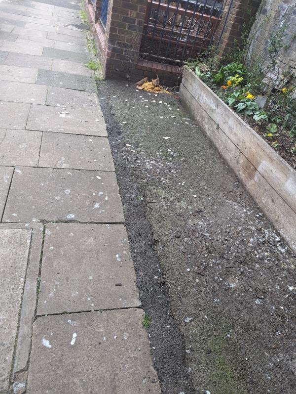 There is a near constant build up of pigeon poo under the railway bridge here - it's very unsanitary and doesn't wash away after even heavy rain. This is a regular route to school and nursery for lots of kids who bike and walk through it. It also looks like people have been dropping food in the corner here regularly which is only encouraging the pigeons. Other areas of arches nearby have sealed underneath the arches so that pigeons can't nest there.-Metalwork Design Ltd, Strode Road, Forest Gate, London, E7 0DU