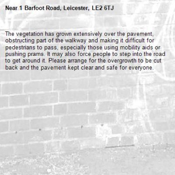 The vegetation has grown extensively over the pavement, obstructing part of the walkway and making it difficult for pedestrians to pass, especially those using mobility aids or pushing prams. It may also force people to step into the road to get around it. Please arrange for the overgrowth to be cut back and the pavement kept clear and safe for everyone.-1 Barfoot Road, Leicester, LE2 6TJ