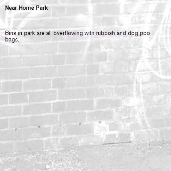 Bins in park are all overflowing with rubbish and dog poo bags. -Home Park
