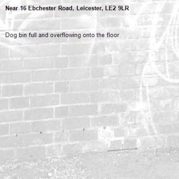 Dog bin full and overflowing onto the floor-16 Ebchester Road, Leicester, LE2 9LR