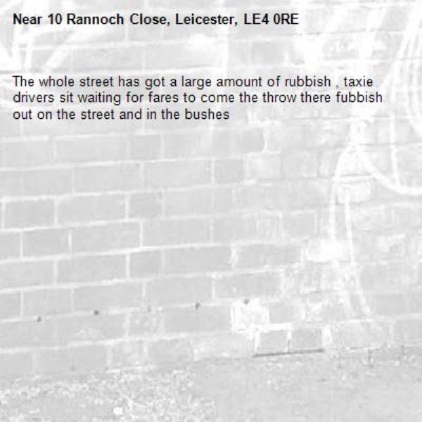 The whole street has got a large amount of rubbish , taxie drivers sit waiting for fares to come the throw there fubbish out on the street and in the bushes-10 Rannoch Close, Leicester, LE4 0RE