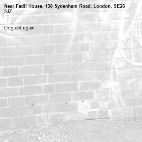 Dog dirt again-Fadil House, 138 Sydenham Road, London, SE26 5JZ