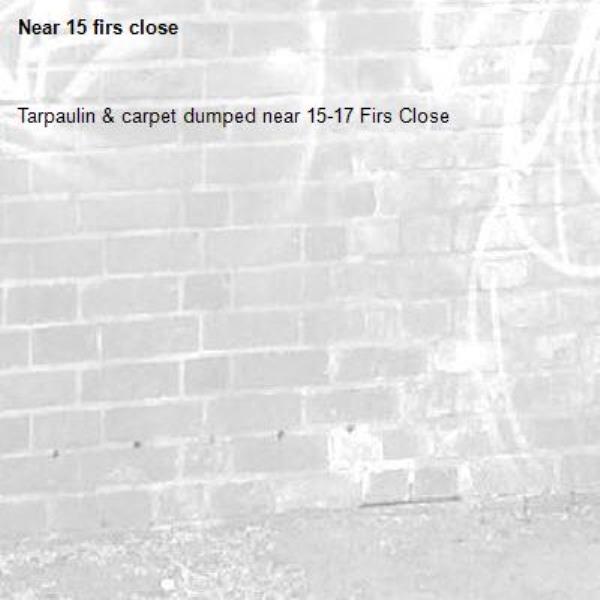 Tarpaulin & carpet dumped near 15-17 Firs Close
-15 firs close