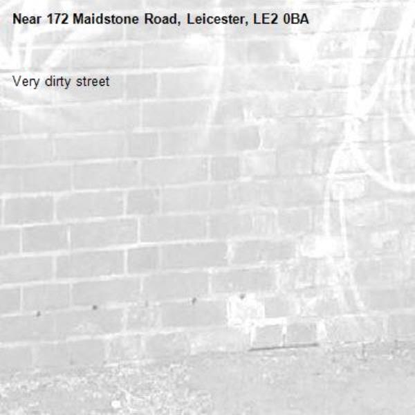 Very dirty street-172 Maidstone Road, Leicester, LE2 0BA