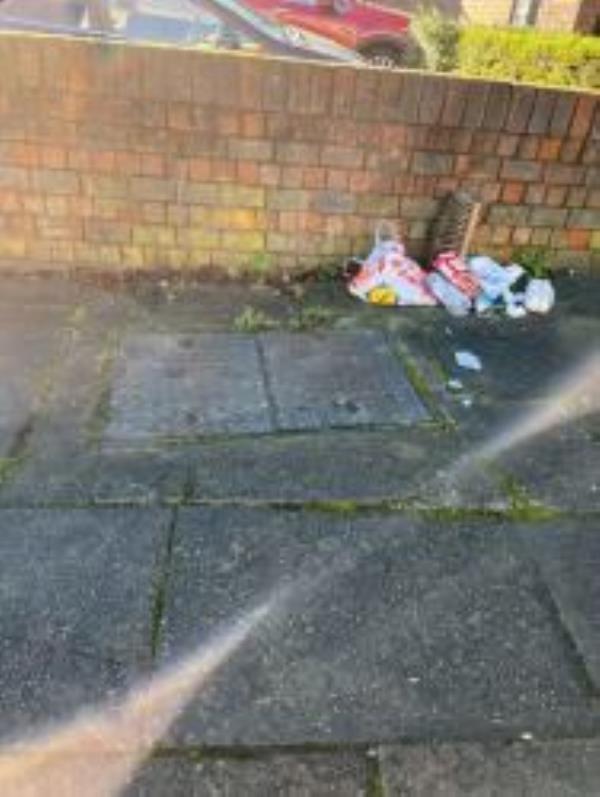Please clear bags of waste. Reported via Fix My Street-83 Gilmore road
