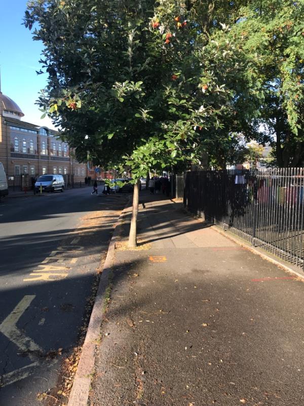 Low branches on tree above path. -2 Evington Drive, Leicester, LE5 5PB