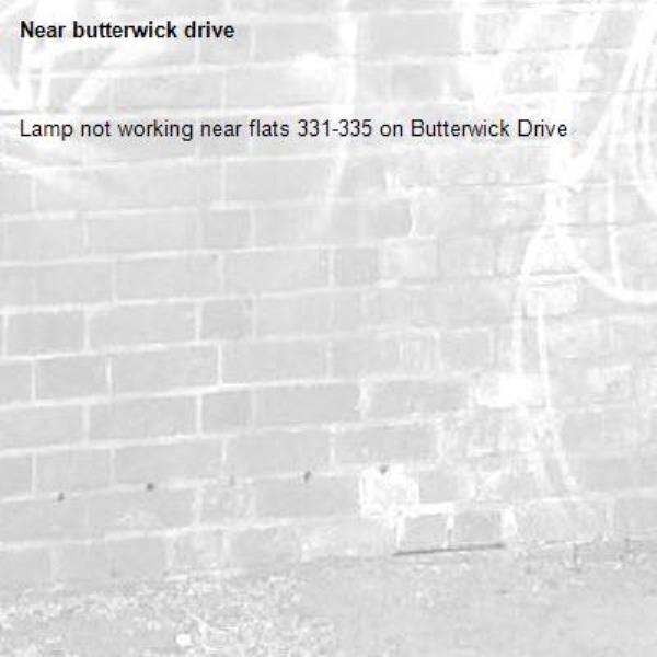 Lamp not working near flats 331-335 on Butterwick Drive-butterwick drive