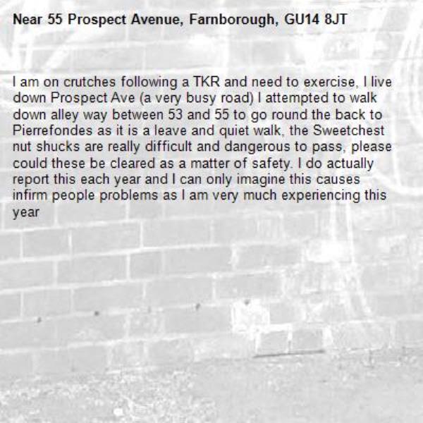 I am on crutches following a TKR and need to exercise, I live down Prospect Ave (a very busy road) I attempted to walk down alley way between 53 and 55 to go round the back to Pierrefondes as it is a leave and quiet walk, the Sweetchest nut shucks are really difficult and dangerous to pass, please could these be cleared as a matter of safety. I do actually report this each year and I can only imagine this causes infirm people problems as I am very much experiencing this year-55 Prospect Avenue, Farnborough, GU14 8JT