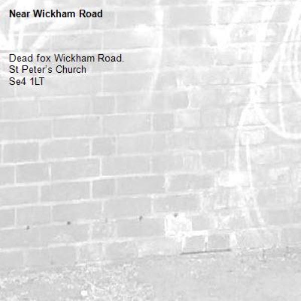 Dead fox Wickham Road. 
St Peter’s Church
Se4 1LT-Wickham Road