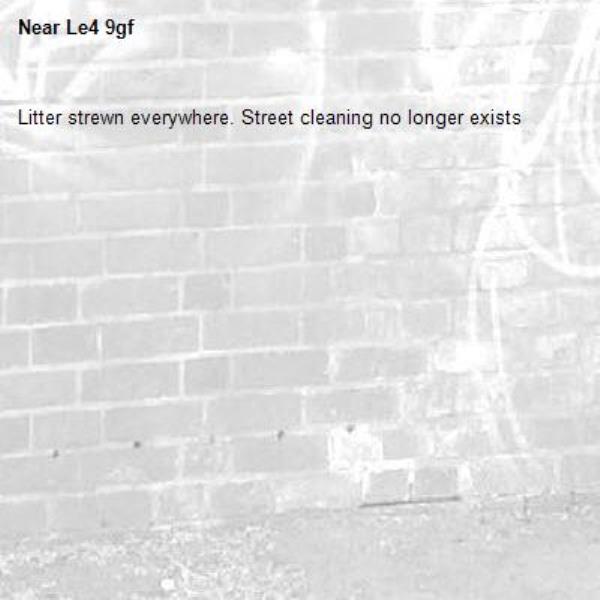 Litter strewn everywhere. Street cleaning no longer exists -Le4 9gf