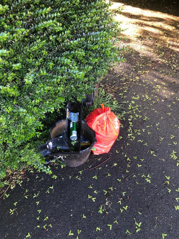 By Corner Shrub area. Please clear dumped bags-7 Riddons Road, Grove Park, London, SE12 9RB