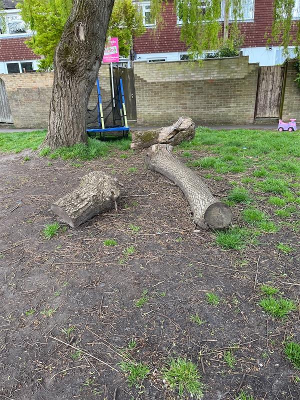 Tree was cut back but logs left dumped. Residents would like them removed. -17 Lakeside Gardens, Farnborough, GU14 9JG