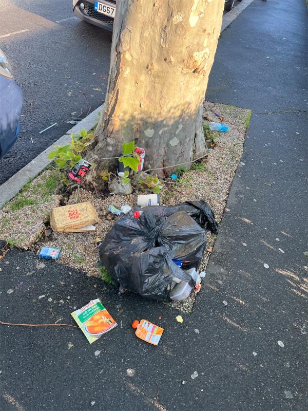 Flytipping household rubbish-193 Shrewsbury Road, Forest Gate, London, E7 8QH