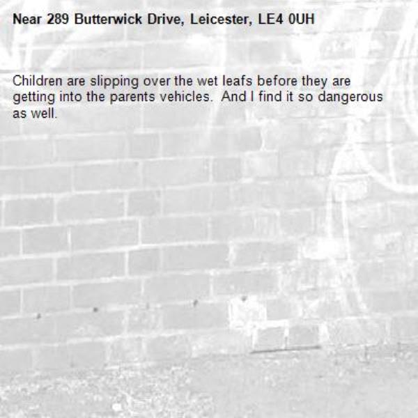 Children are slipping over the wet leafs before they are getting into the parents vehicles.  And I find it so dangerous as well.-289 Butterwick Drive, Leicester, LE4 0UH