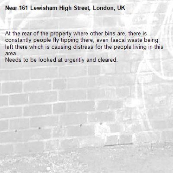 At the rear of the property where other bins are, there is constantly people fly tipping there, even faecal waste being left there which is causing distress for the people living in this area.
Needs to be looked at urgently and cleared.-161 Lewisham High Street, London, UK