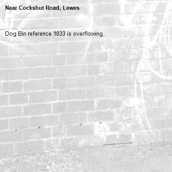 Dog Bin reference 1033 is overflowing-Cockshut Road, Lewes