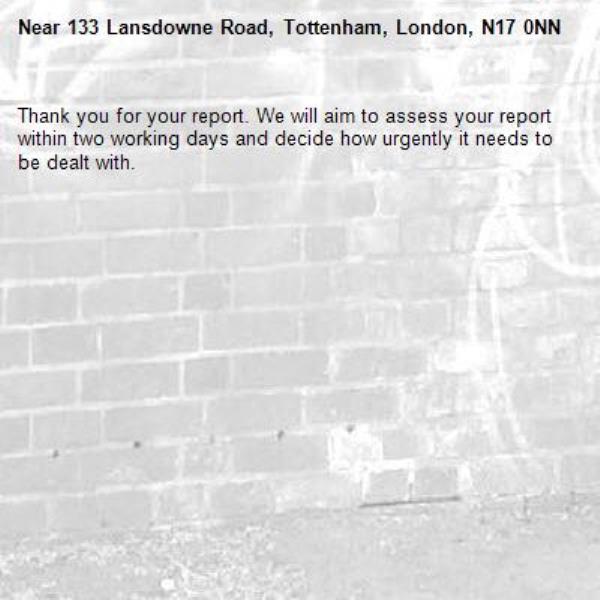Thank you for your report. We will aim to assess your report within two working days and decide how urgently it needs to be dealt with.-133 Lansdowne Road, Tottenham, London, N17 0NN
