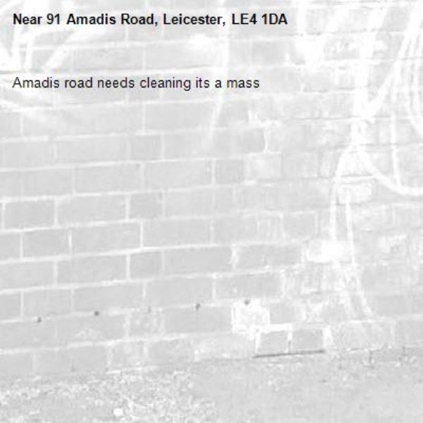 Amadis road needs cleaning its a mass-91 Amadis Road, Leicester, LE4 1DA