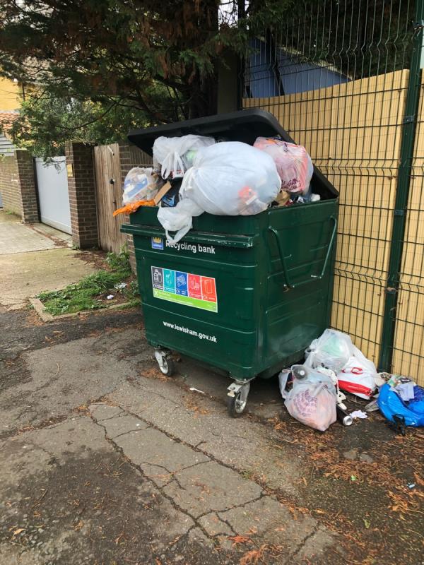 Please empty Recycling bin. Possibly contaminated-1 Guyscliff Road, Hither Green, London, SE13 6PH