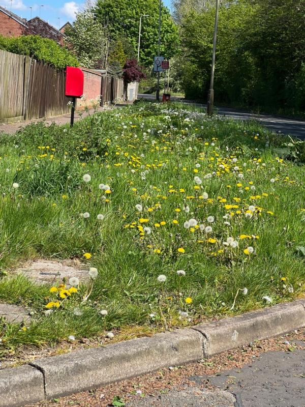 Very overgrown grass verge - stinging nettles spilling onto footpath causing a hazard to people using the footpath -Barkbythorpe Road, Leicester