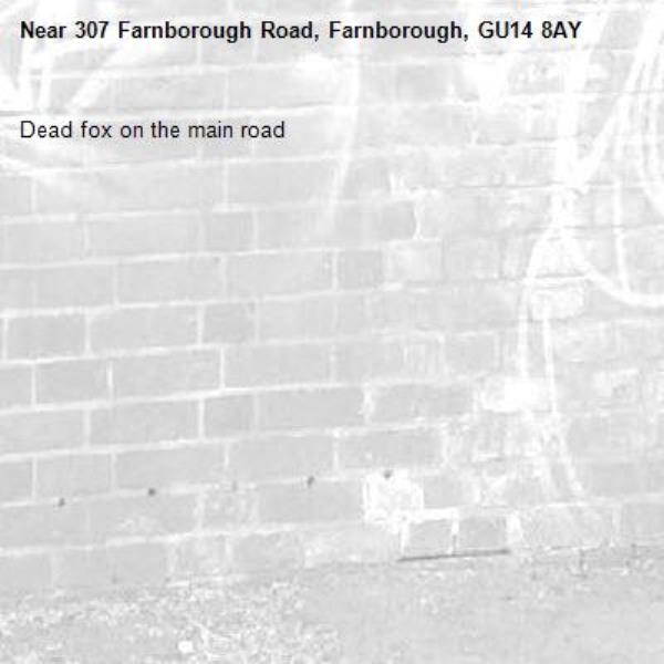 Dead fox on the main road-307 Farnborough Road, Farnborough, GU14 8AY