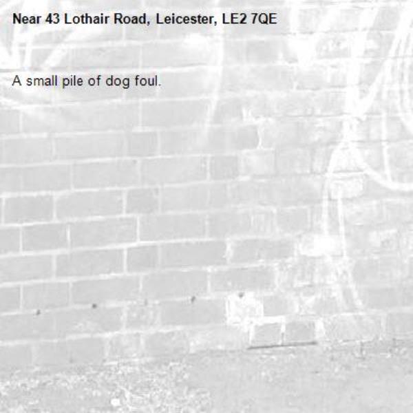 A small pile of dog foul.-43 Lothair Road, Leicester, LE2 7QE
