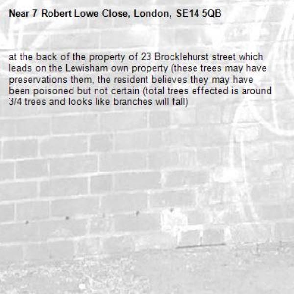 at the back of the property of 23 Brocklehurst street which leads on the Lewisham own property (these trees may have preservations them, the resident believes they may have been poisoned but not certain (total trees effected is around 3/4 trees and looks like branches will fall)-7 Robert Lowe Close, London, SE14 5QB