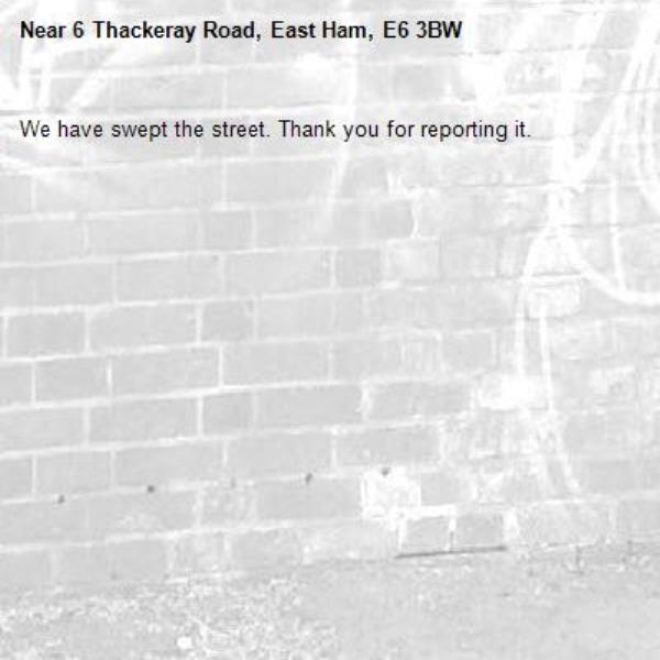 We have swept the street. Thank you for reporting it.-6 Thackeray Road, East Ham, E6 3BW