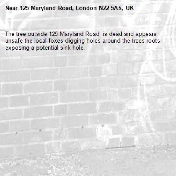 The tree outside 125 Maryland Road  is dead and appears unsafe the local foxes digging holes around the trees roots exposing a potential sink hole.-125 Maryland Road, London N22 5AS, UK