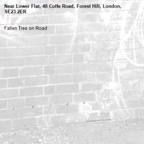 Fallen Tree on Road-Lower Flat, 48 Colfe Road, Forest Hill, London, SE23 2ER