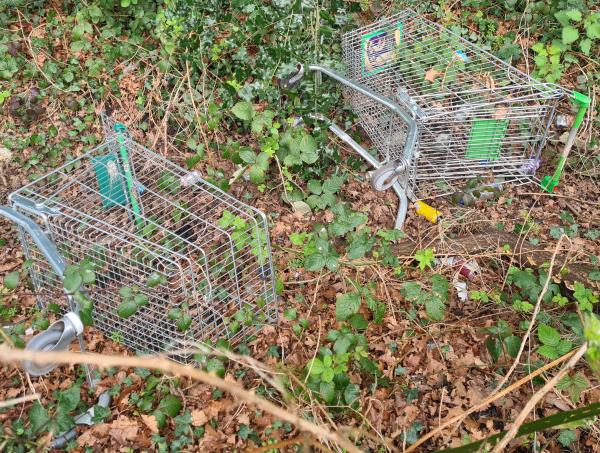 There are 5 or6 Asda trollies thrown into the waste ground which runs beside the footpath from Invincible road to Marrowbrook lane.-Mobile Trader, Wickes Car Park, Invincible Road, Farnborough, GU14 7QU